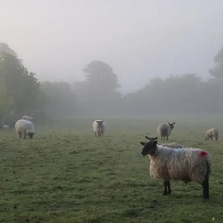 بيت للعطل The Stables At Lorum Old Rectory Bagenalstown