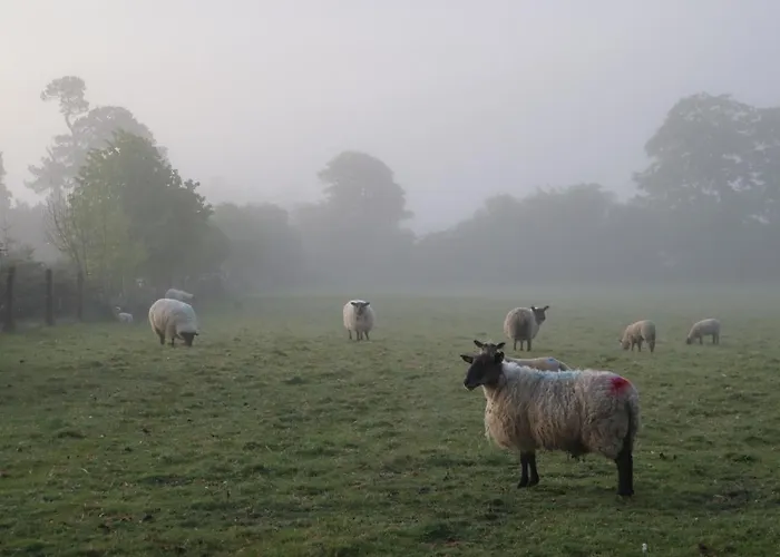 Holiday home The Stables At Lorum Old Rectory Bagenalstown